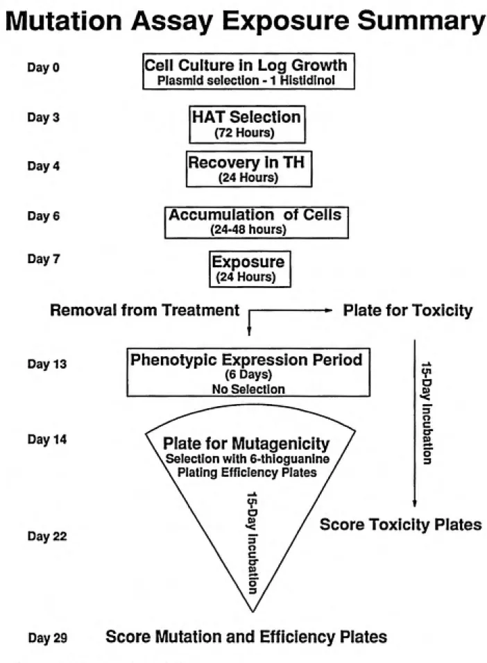 Figure 4.1: See text for details