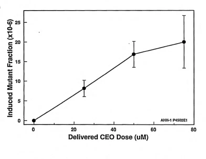 Fig 4.7. Rates of mutation at the hprt locus in CEO treated cells. Cultures were treated in HAT to lower the background levels of spontaneous mutants