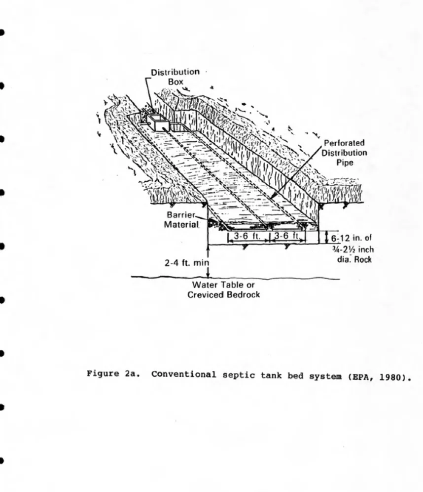Figure 2a.  Conventional septic tank bed system (EPA, 1980)