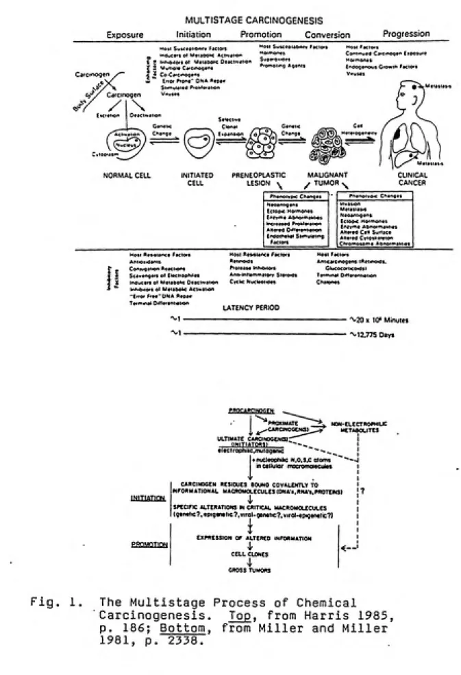 Fig.   1.     The  Multistage  Process   of  Chemical