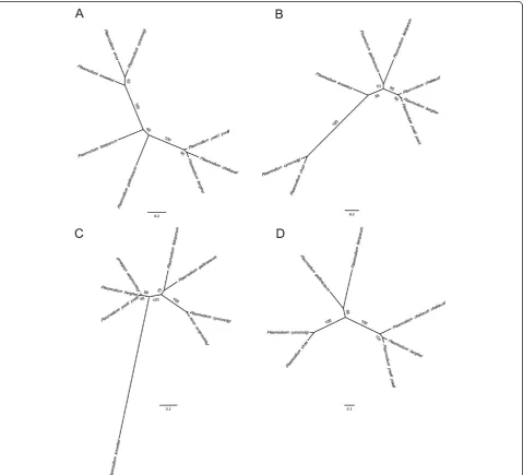 Figure 1 Phylogeny of Plasmodium parasites based on A) 1,329 bp of the serine hydroxymethyltransferase (SHMT) gene, B) 1920 bp ofthe long chain fatty acid elongation enzyme (ELO3) gene, C) 4854 bp of the LCCL domain-containing protein (CCp2) gene, andD) 75