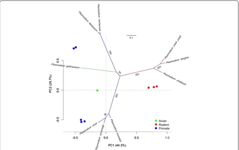 Figure 2 Phylogeny and metric multidimensional scaling ofgenerated from aligned Plasmodium parasites using ama-1