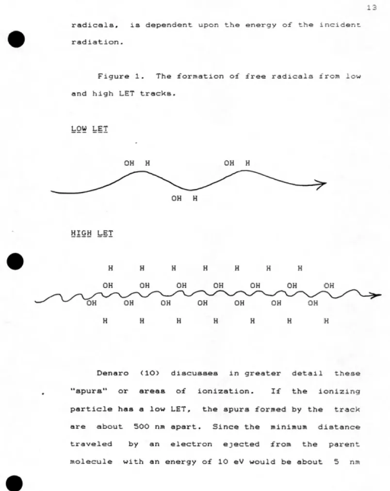 Figure 1.  The formation of free radicals ±"rom low and high LET tracks.