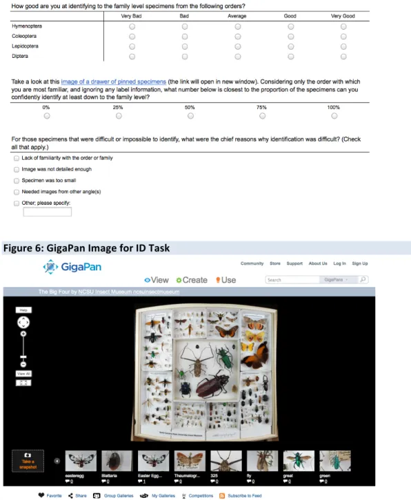 Figure	  5:	  ID	  Task	  Using	  GigaPan	  Image	  