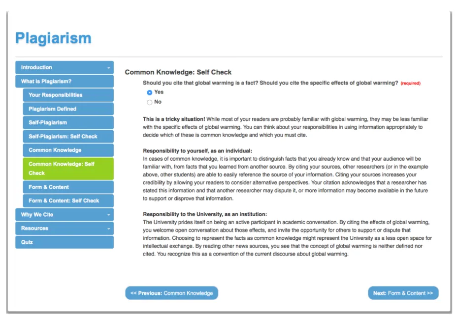 Figure	21:	Plagiarism	Tutorial	 	