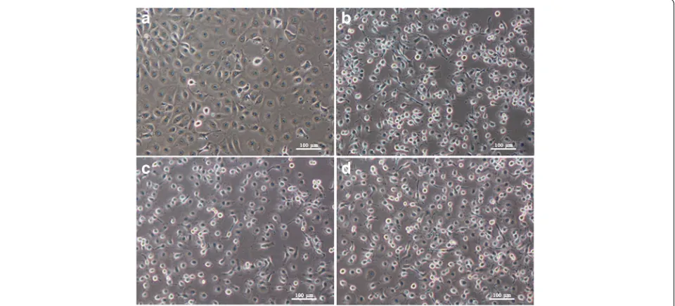 Fig. 2 Vertical transmission of Chikungunya virus inand Ae. aegypti and Ae. albopictus as determined by measuring log10 PFU/pool of larvaeand adults by real time RT-PCR