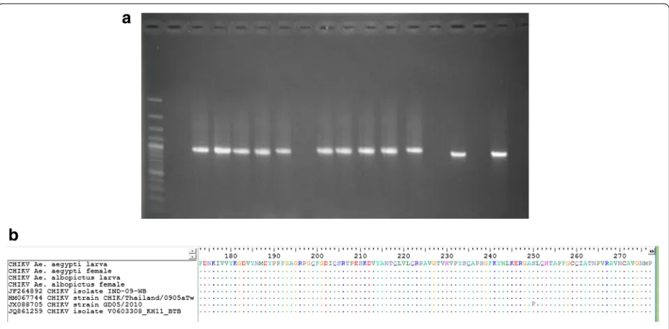 Fig. 5 Agarose gel analysis of the PCR products generated by RT-PCR assay and alignment of the amino acid sequence of CHIKV