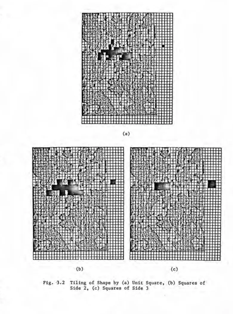 Fig. -3.2 Tiling of Shape by (a) Unit Square, (b) Squares of