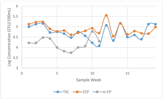 Figure 6. Box and Whisker plot of the distribution of mean concentrations of C. perfringens  spores in pasteurized untreated sewage samples for the TSC, CCP, and m-CP agars (n=19)