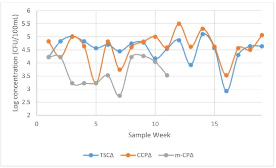 Figure 7. Log concentrations of total C. perfringens in untreated sewage by sample week as  detected by the TSC, CCP, and m-CP agars (n=19) 