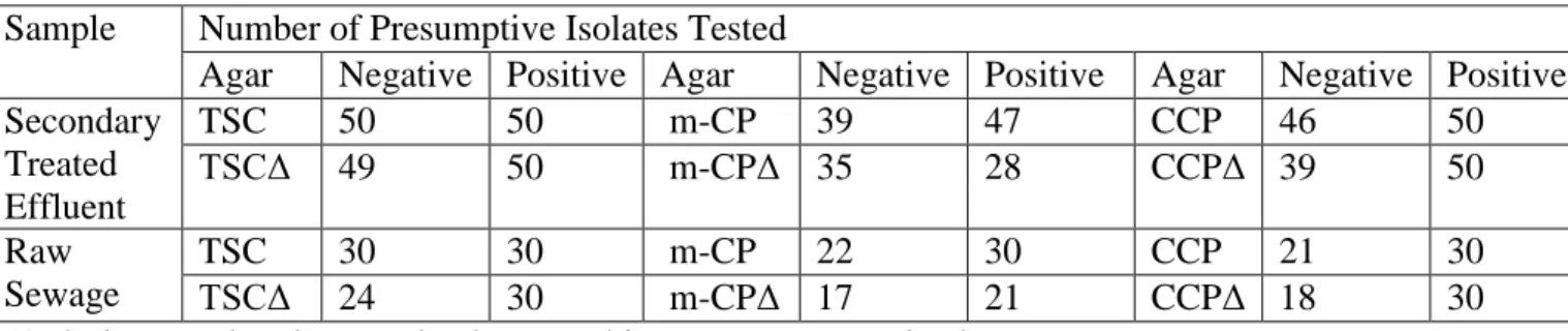 Table 7. Summary of the number of presumptive isolates tested for acid phosphatase production  and stormy fermentation in iron milk from each agar type and sample type 