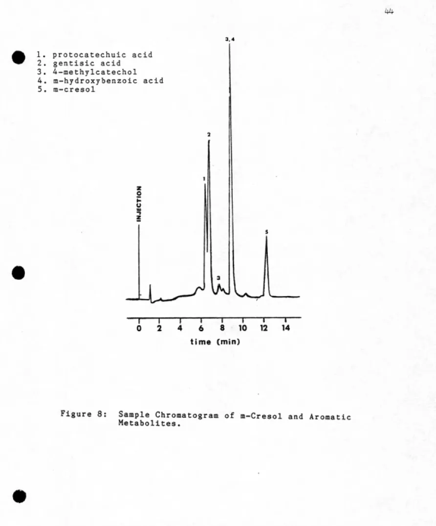 Figure 8:  Sample Chromatogram of m-Cresol and Aromatic