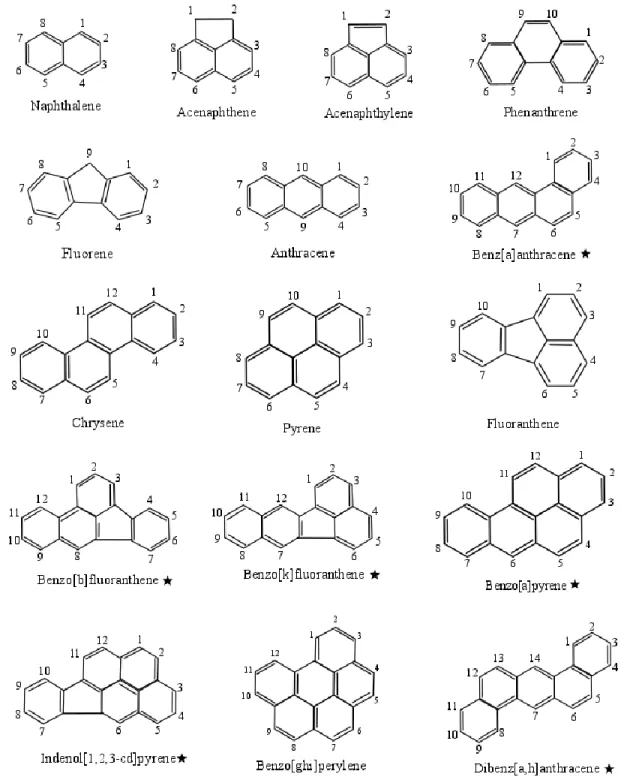Figure 1. Structures of the 16 PAHs currently included on the EPA priority pollutant list