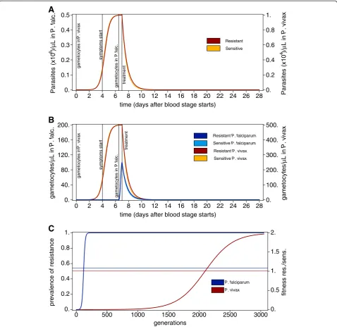 Figure 1 Intra-host and population-level dynamics resulting from fitness components. Amutation as a function of time measured in generations corresponding to transmission cycles