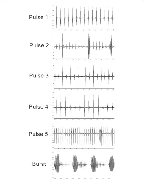 Fig. 1 Examples of the song traces of all 6 patterns observed in Brazilian populations of L