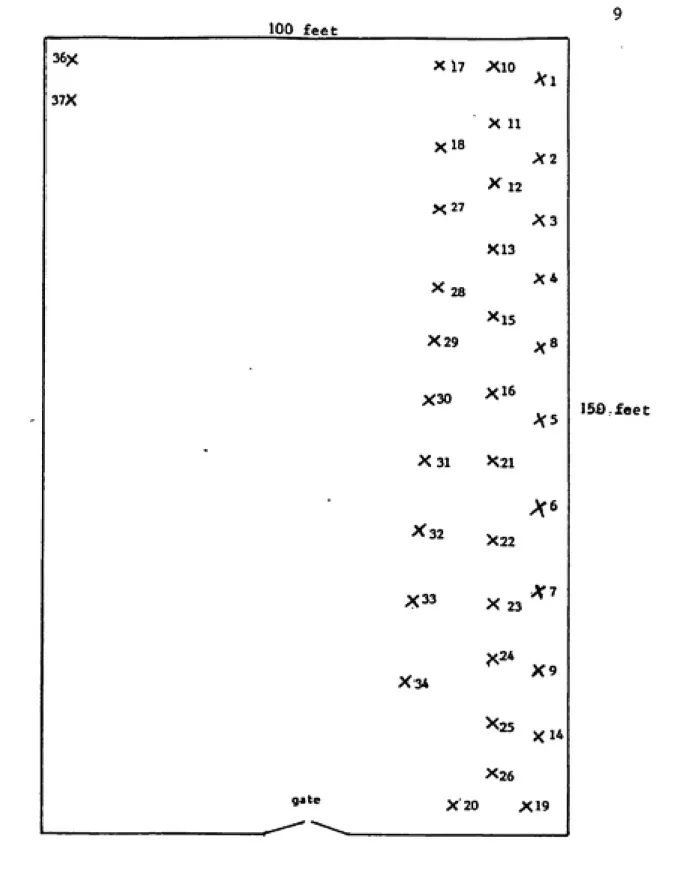 FIGURE 3 : Relative position of the Mason Farm pits based on a scale drawing on file.
