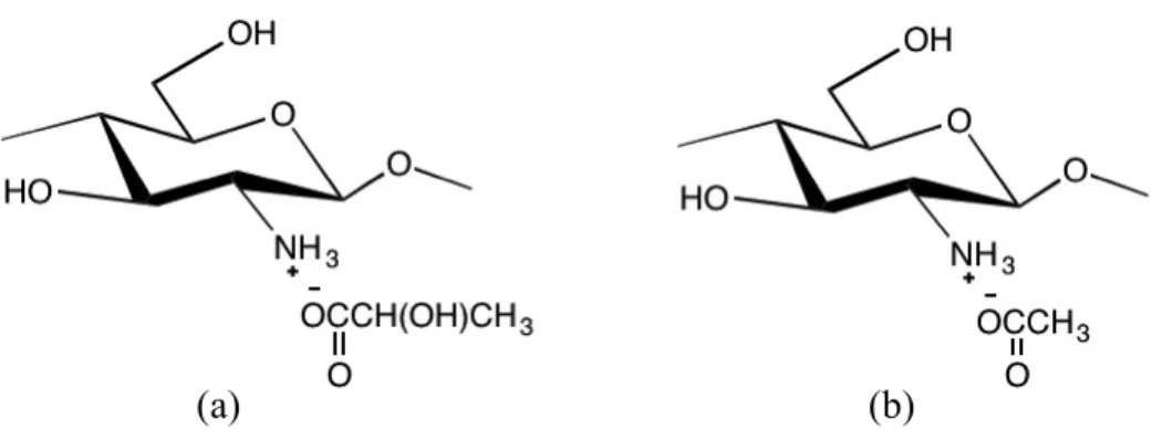 Figure 2: Examples of Modified Chitosan: Chitosan Lactate (a) and Chitosan Acetate (b)  Alum 
