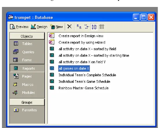 Figure 6 - MS Access: List of Reports 