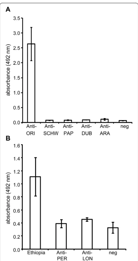 Fig. 3 Specificity of the anti-sand fly saliva IgG antibody response.for two serum samples ± the standard error