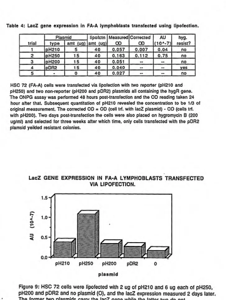 Table 4: LacZ gene expression in FA-A lymphoblasts transfected using lipofection.
