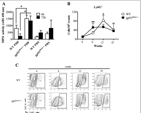 Fig. 7 Myeloperoxidase (MPO) activity and Ly6Gfootpads were removed and used to assay MPO activity to estimate neutrophil numbers in the acute phase of infection.Ly6G+ cells at the infection site in wild type (WT) and gp91phox−/− mice