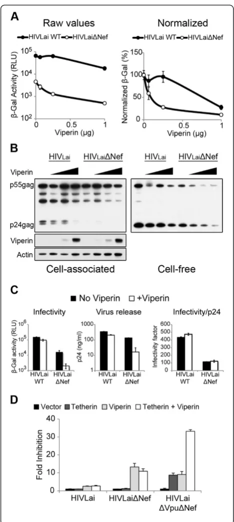 Figure 3 Effect of Viperin on virus release. (A) The effect ofviperin was measured by the infectious virus yield