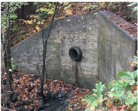Figure 5: Outfall 241-A-033 of the drain system on MPL (November 14 th  2016)  2.4 Motivation of Project 