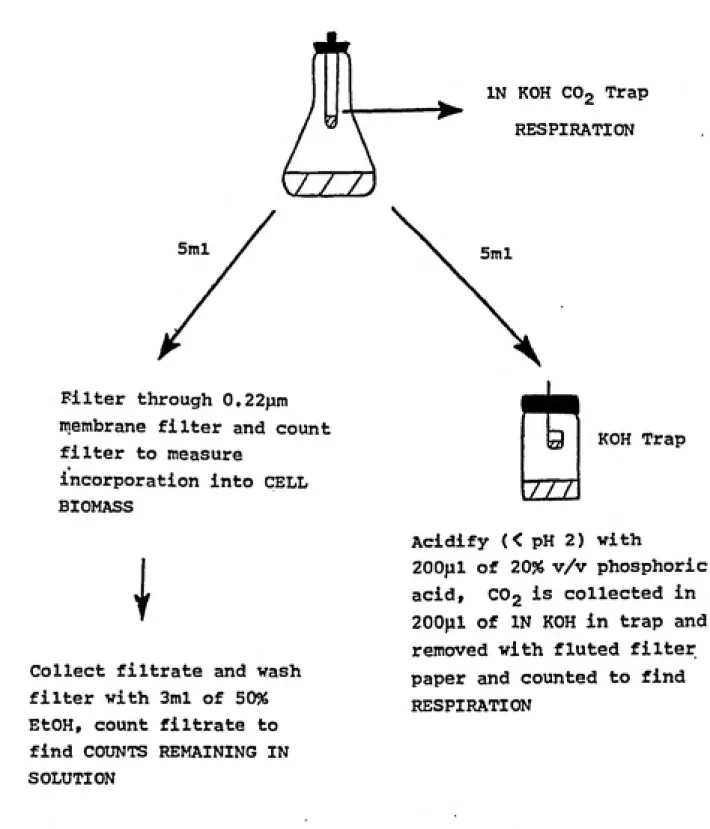 FIGURE 2. Schematic of Biodegradation Methodology