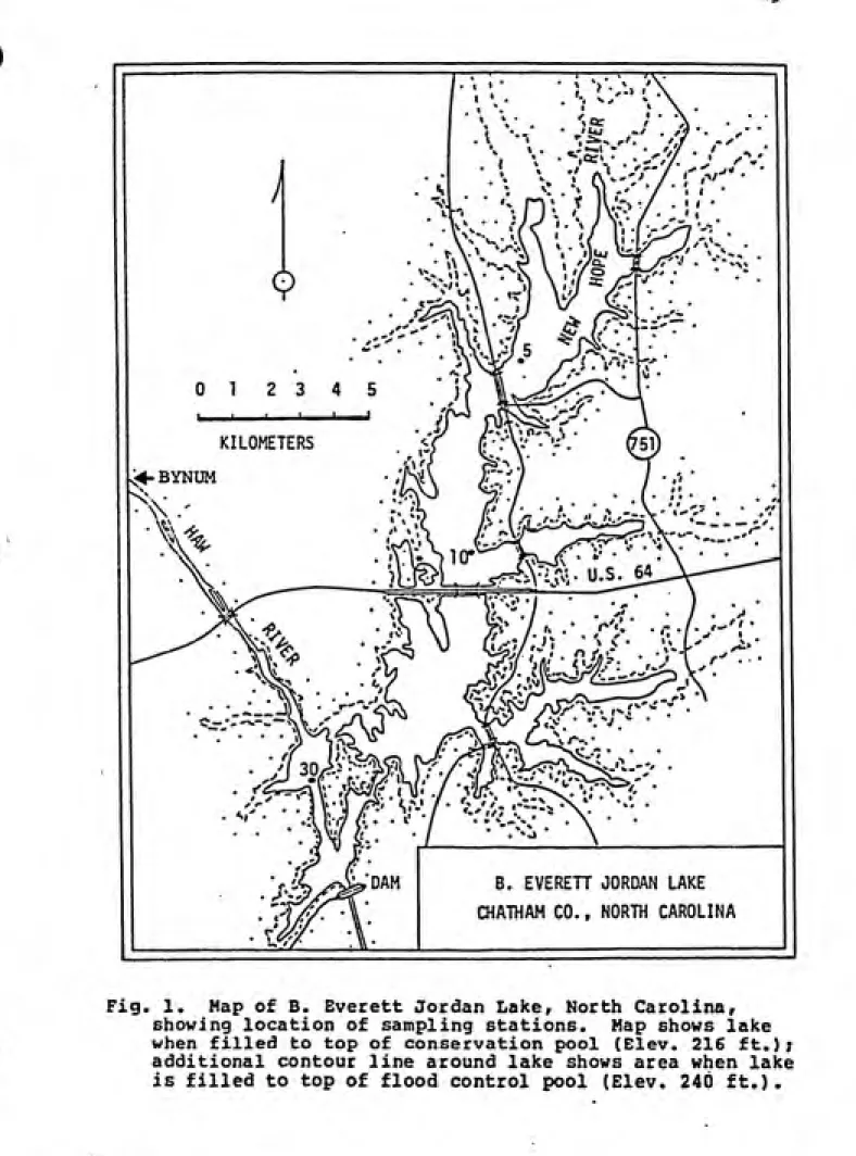 Fig. 1.  Map of B. Everett Jordan Laker North Carolinar showing location of sampling stations