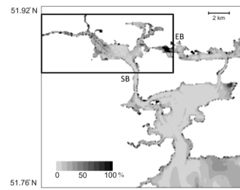 Figure 5. Comparison of computed and measured velocities at pointP1in Passage West. Point location shown in Fig