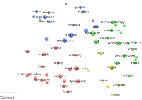 Figure 12 Topic analysis from Caucasian population information giving behavior 
