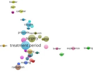 Figure 13 Topic analysis from African America population information giving behavior 