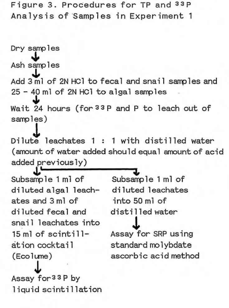 Figure 3.   Procedures for TP and 33p Analysis of Samples  in Experiment 1