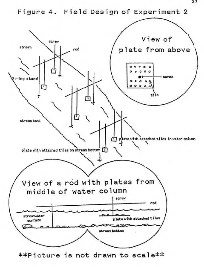 Figure 4.     Field Design of  Experiment 2