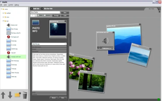 Figure 6. The metadata editor with a media box in it