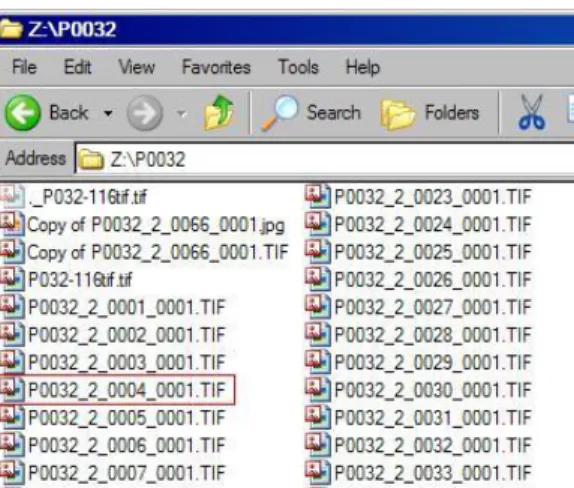 Figure 2: Filename of Digitized Content 