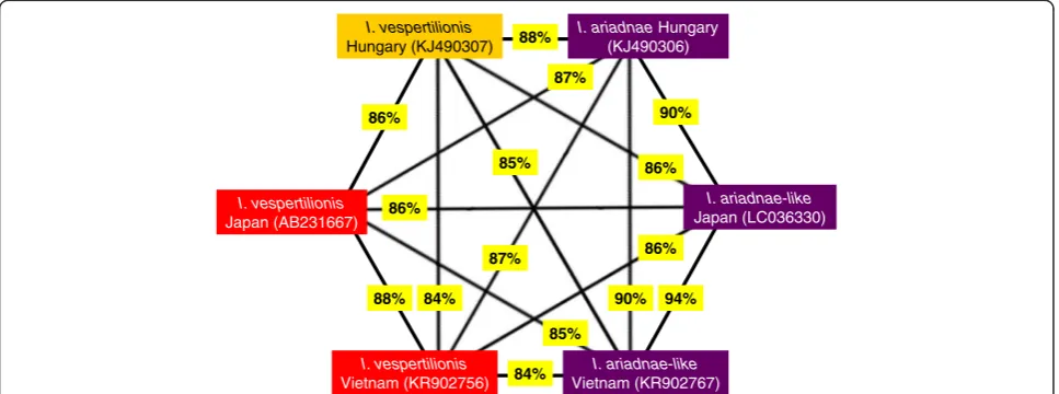 Fig. 3 The approximated degree of COI sequence identity between highly divergent genotypes of I