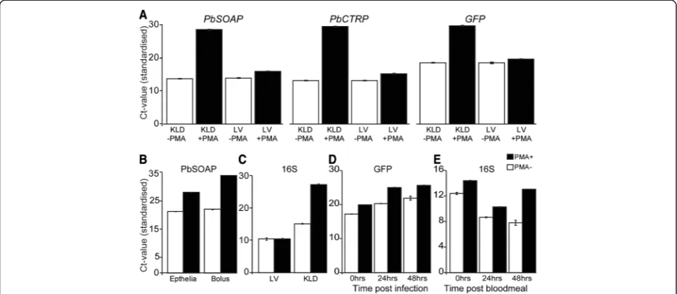 Fig. 5 Ookinete detection efficiency using PMA-qrtPCR. Standardcurve for quantifying P