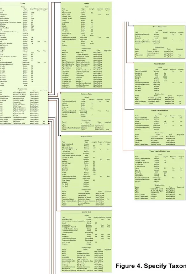 Figure 4 demonstrates the complexity of the Specify database by showing its  Taxon table and the connections with other taxon-related entities