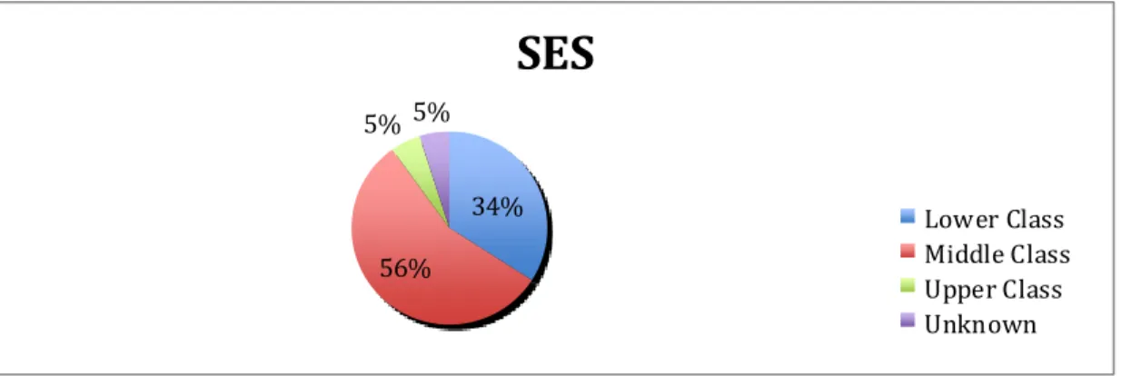 Figure 7: Socioeconomic Status 