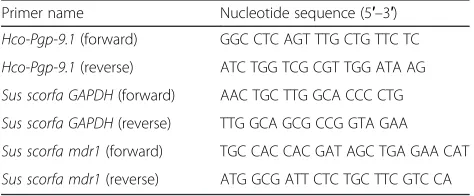 Table 1 Primers for qRT-PCR (quantitative Real-Time-PCR) onscorfaHaemonchus contortus P-glycoprotein-9.1/epithelial-like pig (Sus) kidney cell (Hco-Pgp-9.1/LLC-PK1) transfected cells