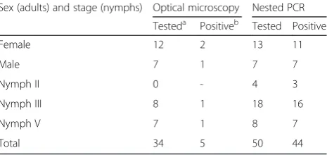 Table 1 Trypanosoma cruzimegistusFederal District, Brazil: bug characteristics and results of infection among Panstrongylus collected in a captive-primate unit at Brasília zoo,optical microscopy and nested PCR