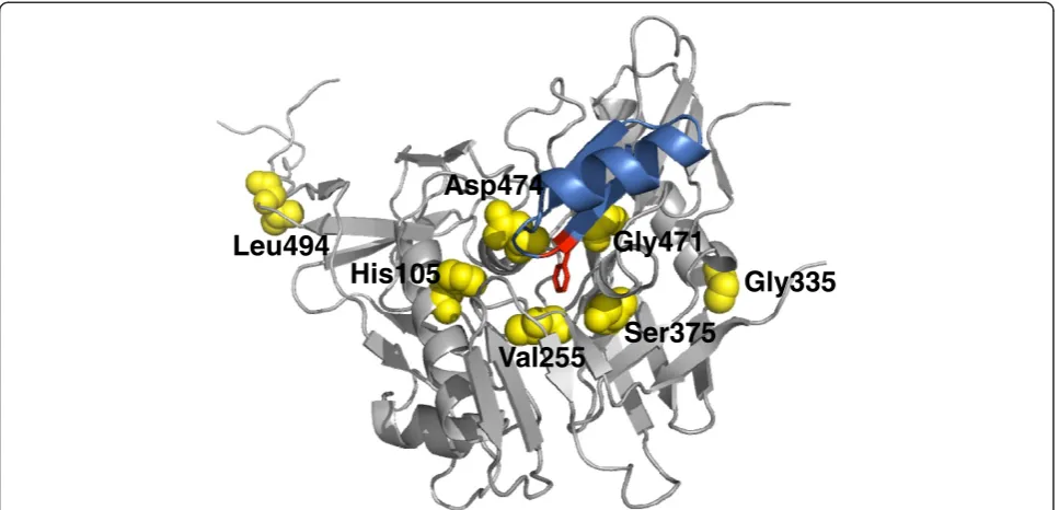 Figure 1 Locations of gp120 mutations associated with resistance towards miniCD4 proteins M48 and M48U1