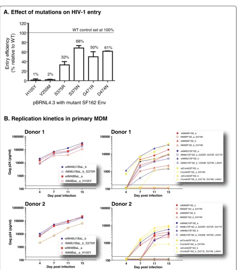 Figure 3 Evaluation of the effect of the different resistance-associated mutations on HIV-1 entry efficiency and viral growth kinetics