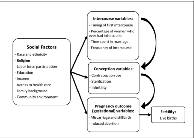 Figure 1. Causal model of the social and intermediate factors leading to live births. (2)  Objective of the paper 