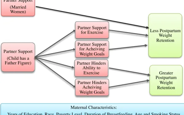Figure 1. Conceptual Model 