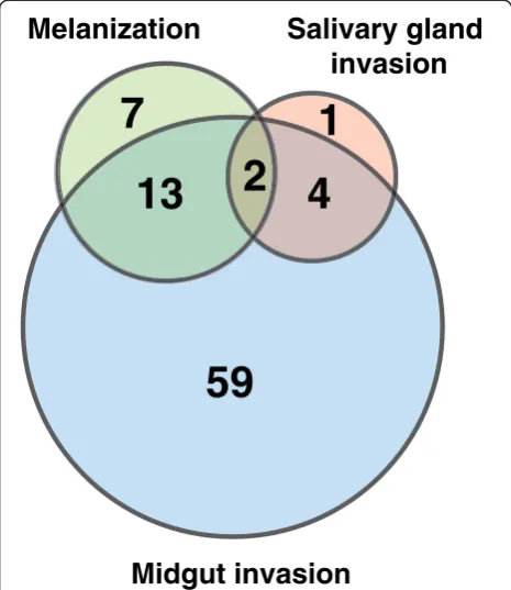 Figure 3 Venn diagram representation of molecules involved inmosquito-Plasmodium interactions at various stages