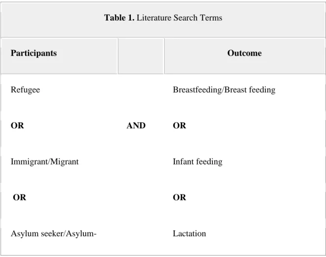 Table 1. Literature Search Terms 