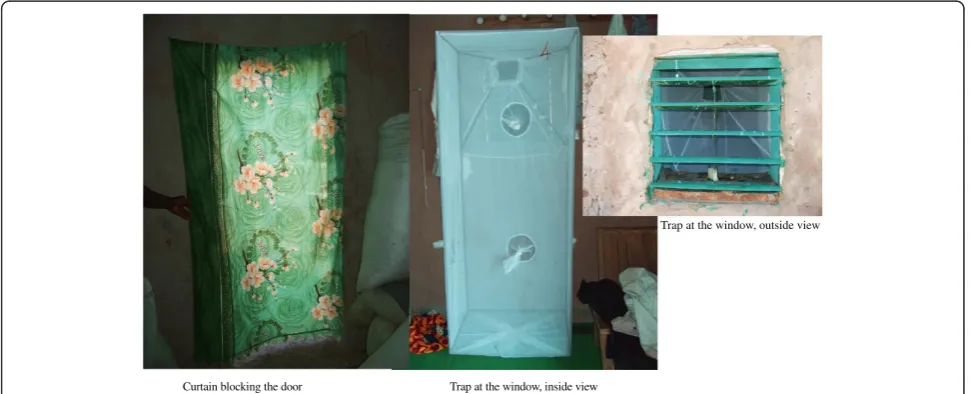 Figure 1 Installation of the trap, inside and outside view. A curtain blocking the door.