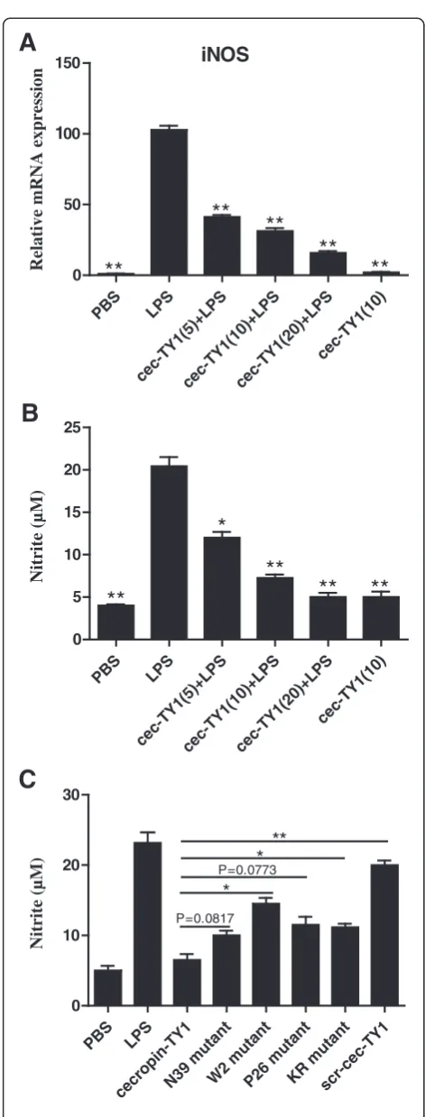 Fig. 2 Inhibitory effects of cecropin-TY1 on LPS-stimulated NOgroups are significantly different from that induced by 100 ng/mL LPSalone.production in peritoneal macrophages